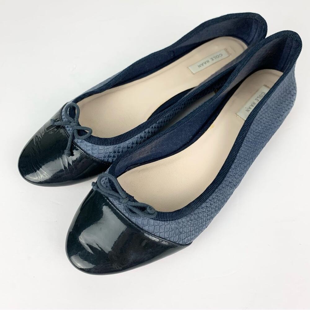 Cole Haan Sarina Blue Leather Embossed Snake Reptile Ballet Flats 8B